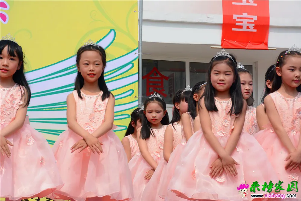 DSC_2953.webp