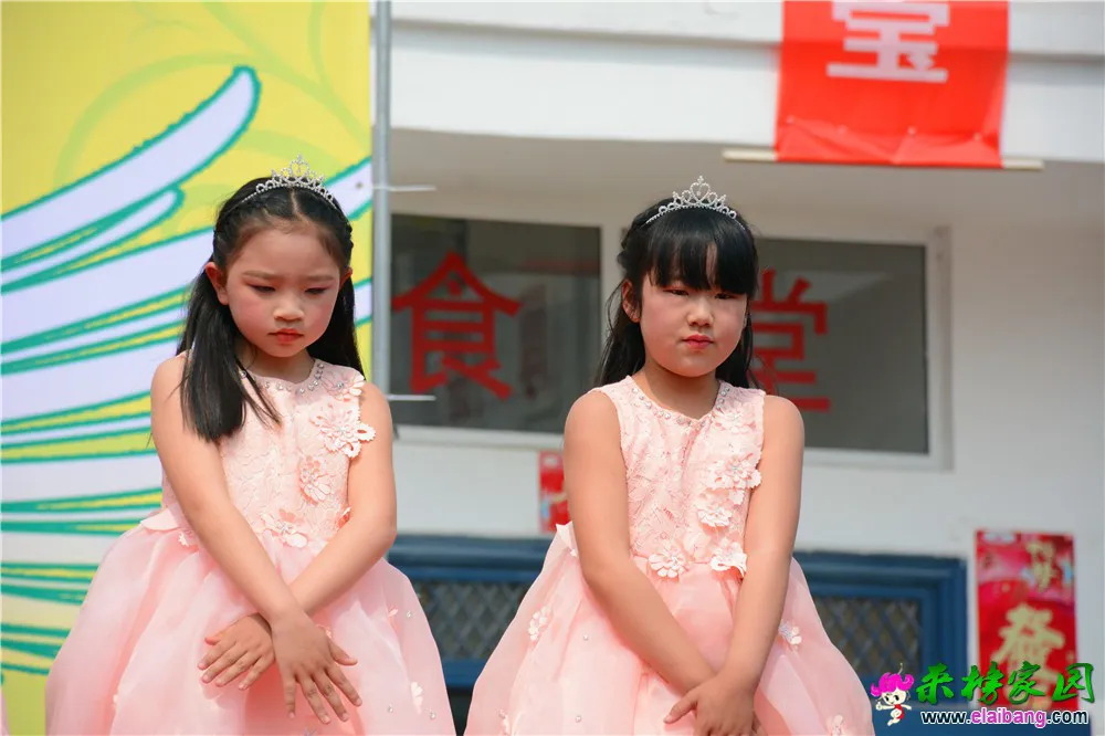 DSC_2962.webp