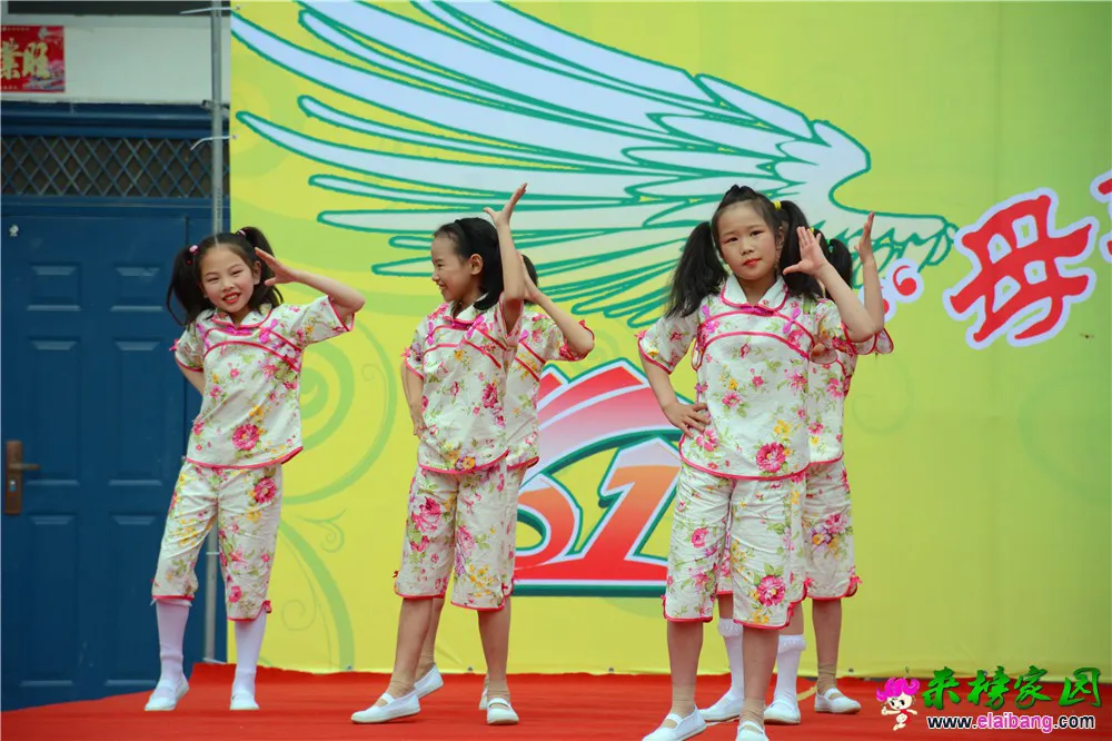 DSC_3342.webp