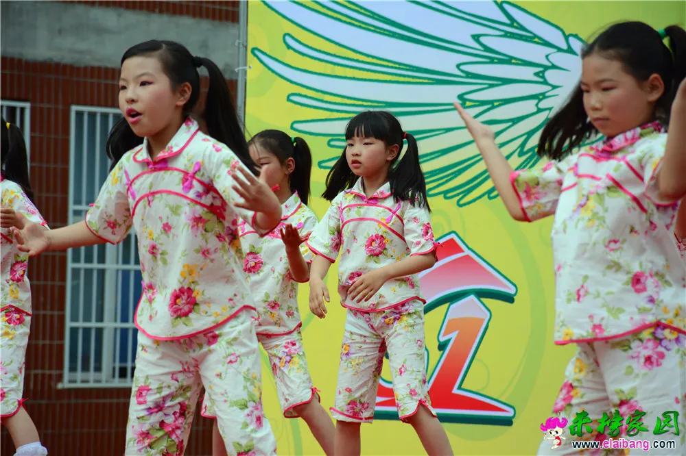 DSC_3365.webp