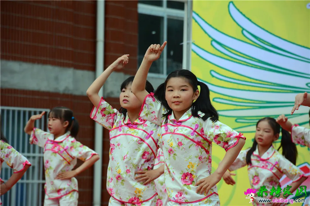 DSC_3374.webp