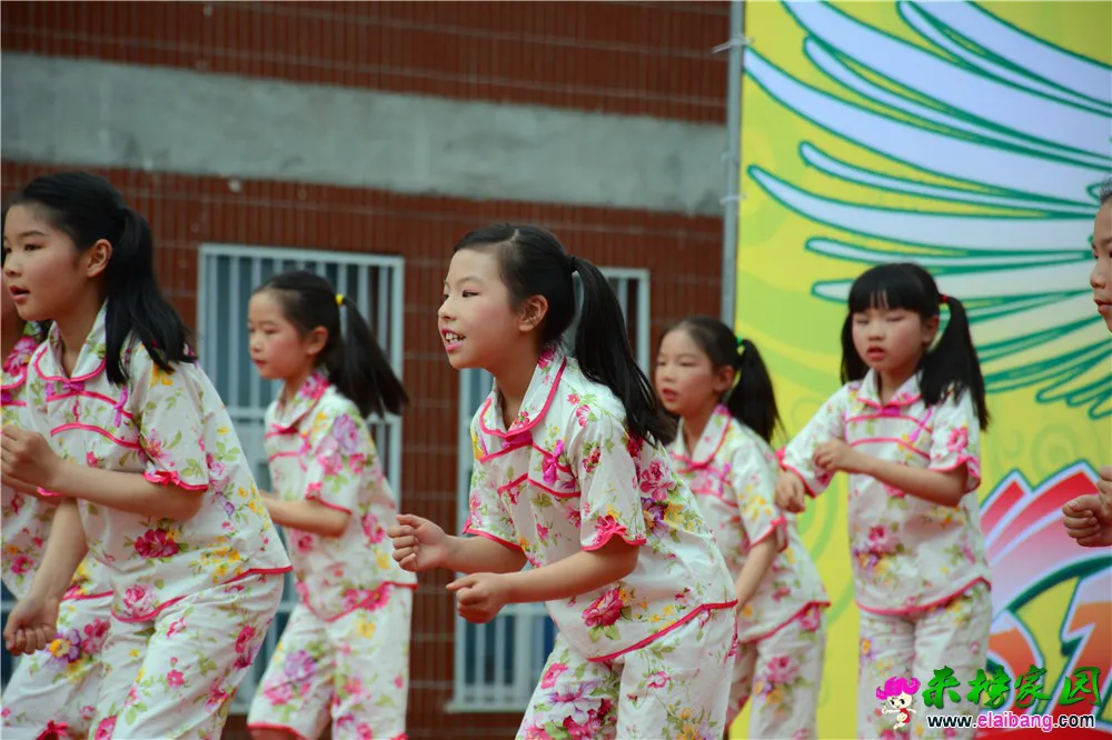 DSC_3371.webp