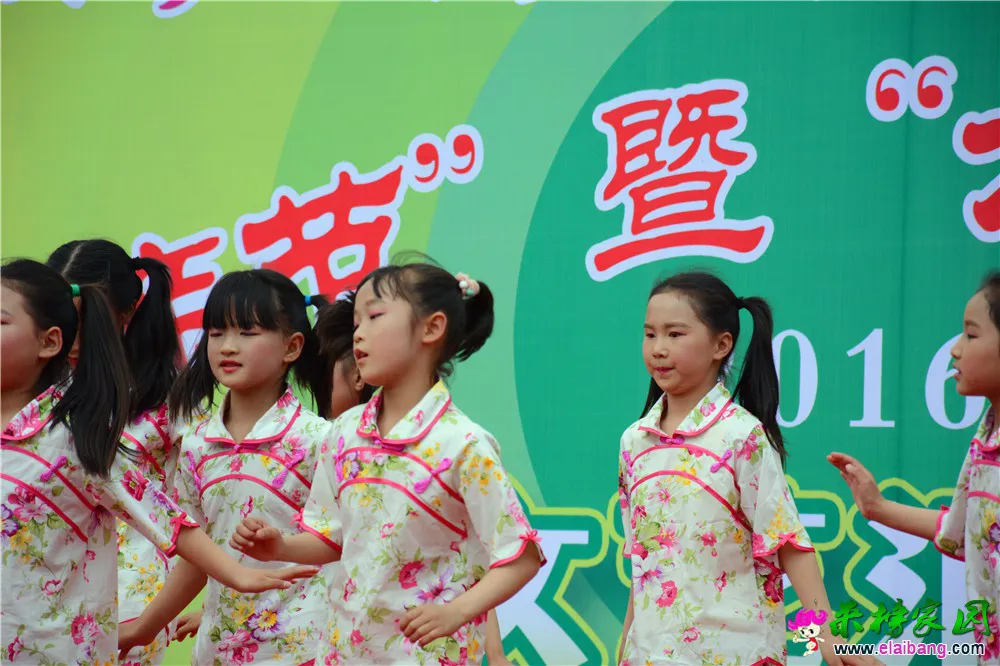 DSC_3385.webp