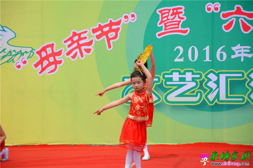 DSC_3451.webp
