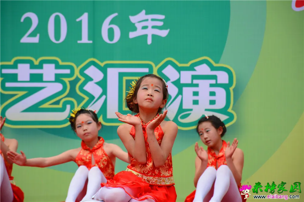 DSC_3479.webp