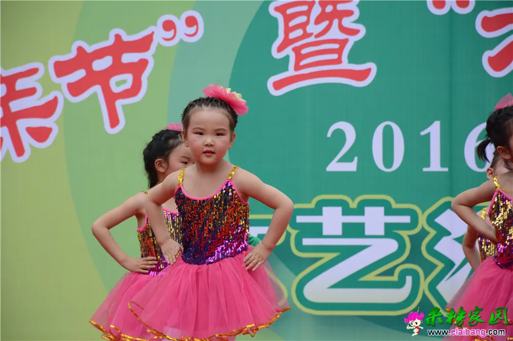 DSC_3646.webp