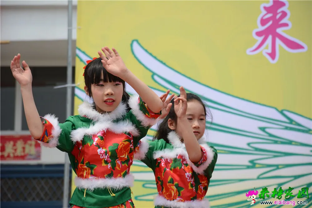 DSC_3698.webp