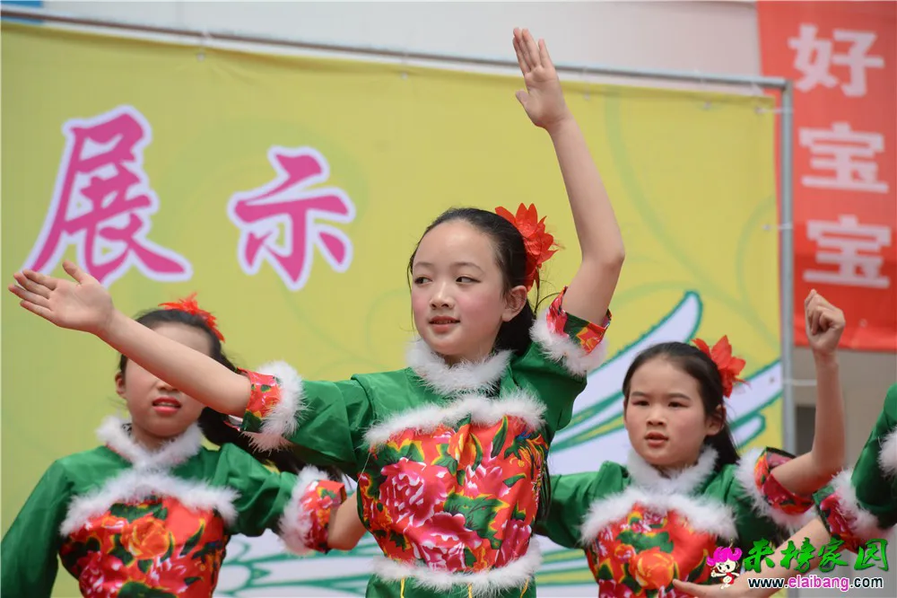DSC_3706.webp