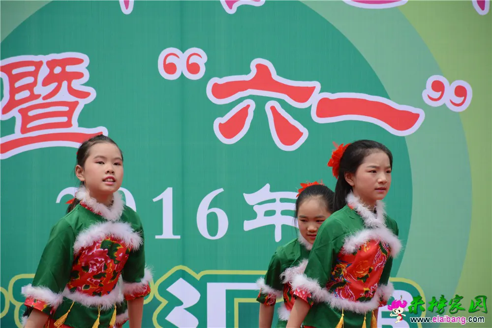 DSC_3711.webp