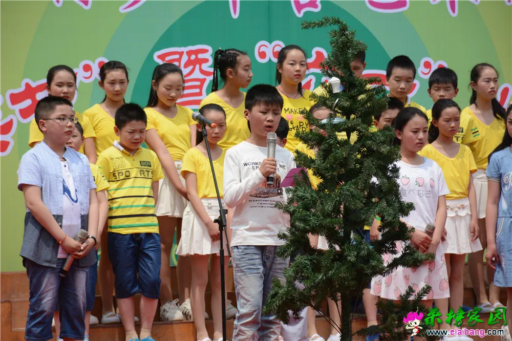 DSC_3843.webp