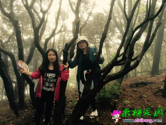 100609br4ye77vvp8ptcic.webp