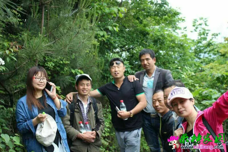 100610jrp71qnqpqfff1q5.webp