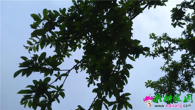 QQ图片20160523070829.webp