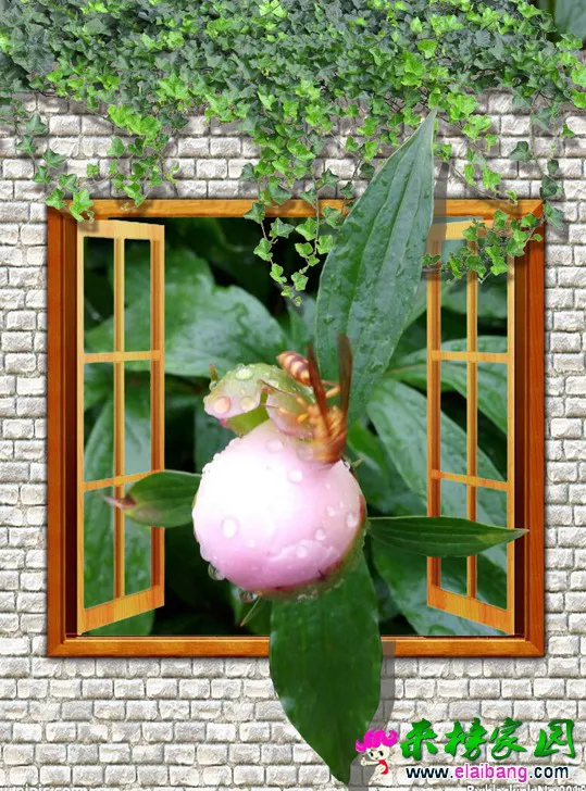 三D.webp
