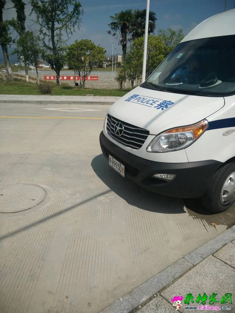 124118ds6vzczg9wt4lfp4.webp