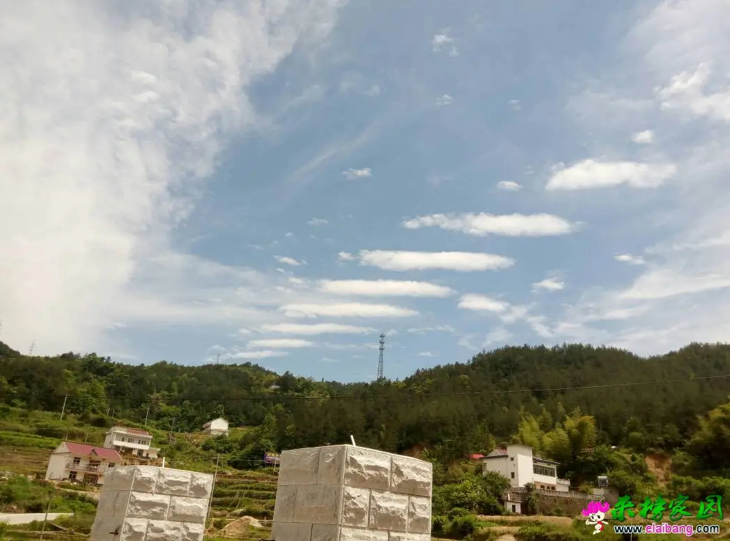 155523tcyz44o9zbdllb7q.webp