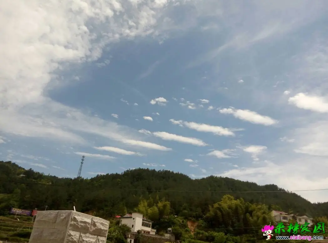 155523u3rcmnb7f4qfmjxn.webp