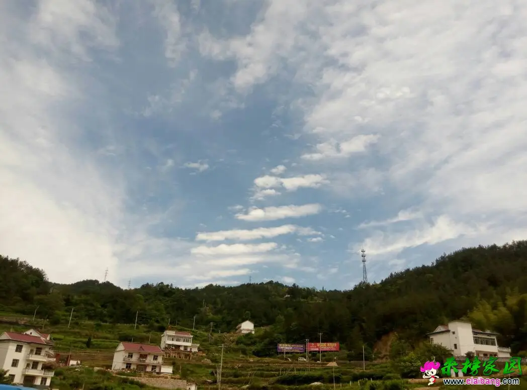 155523ytd6g3fzd67ffz57.webp