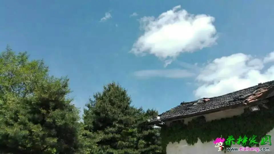 182840bsthyatkayhsy344.webp