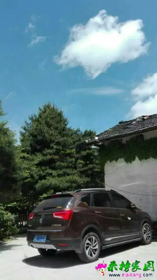182840qnz4gzgt0jdzewnq.webp