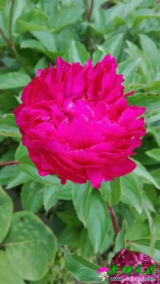 182841yb2b1cd0bbhaqdcw.webp