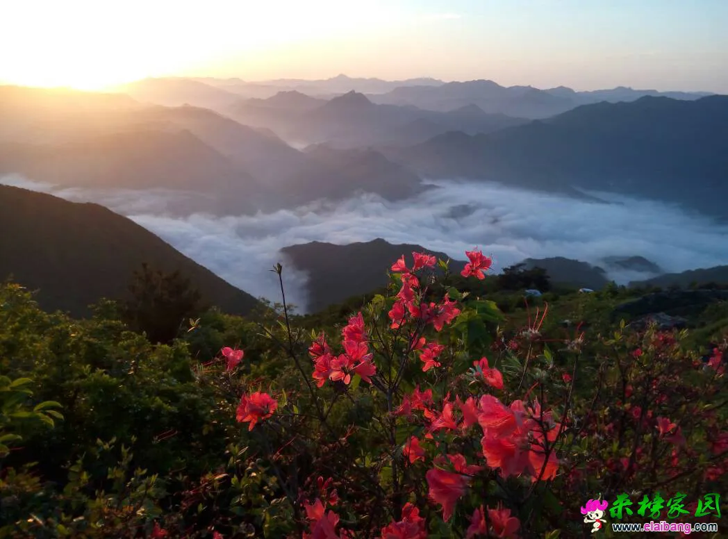 095030v3934gxsxwc9cmcc.webp