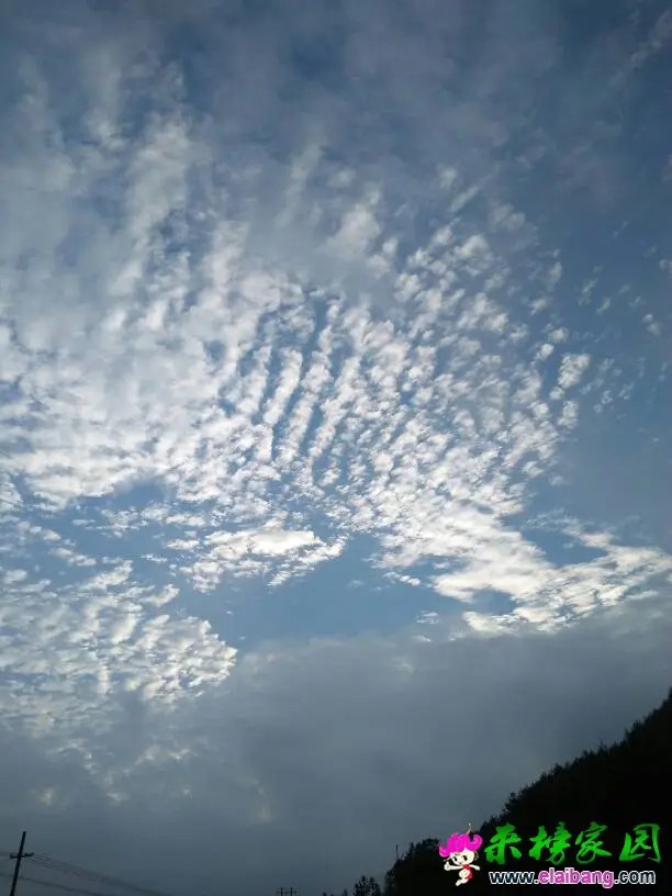 063734poc6ooq33xqyj36t.webp