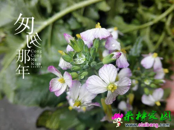 091105gl8l3ccs931ycyp1.webp