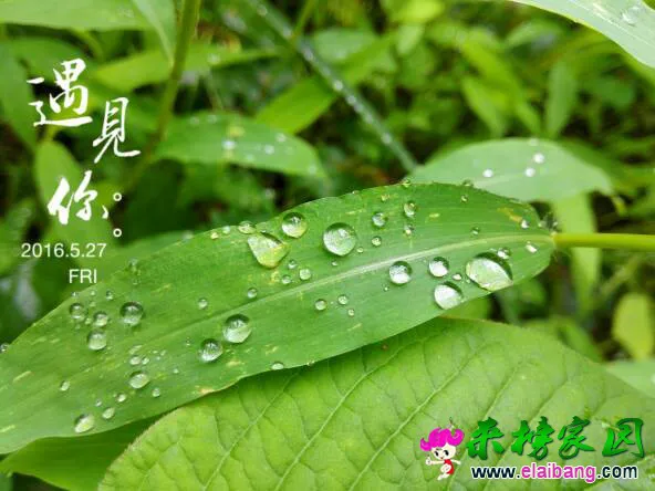 091106hfqcixi85i80icmn.webp