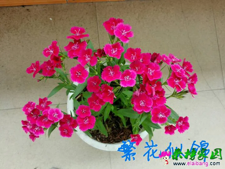 091106y6zu8c6f8hutc6nz.webp
