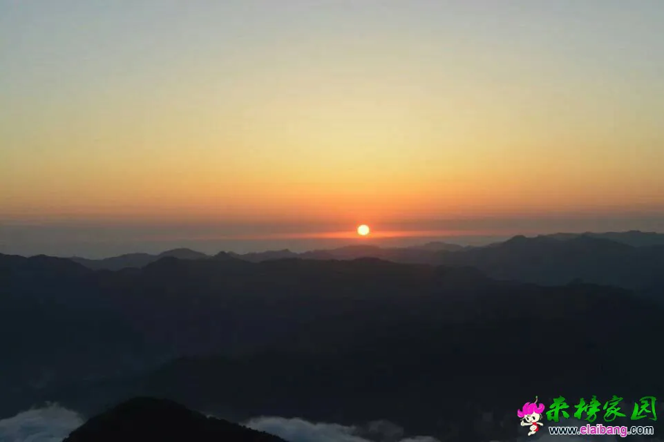 130322ixqus2lc8ttg08lx.webp