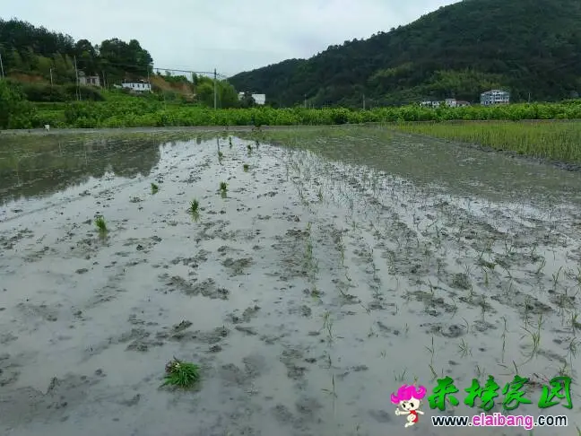 075113kworyj764zuuwmgm.webp