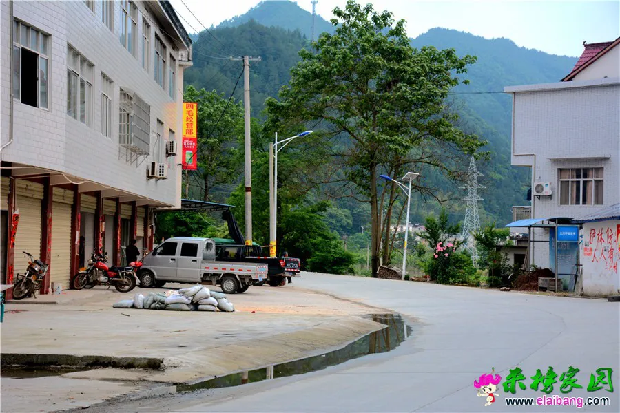 DSC_4193.webp