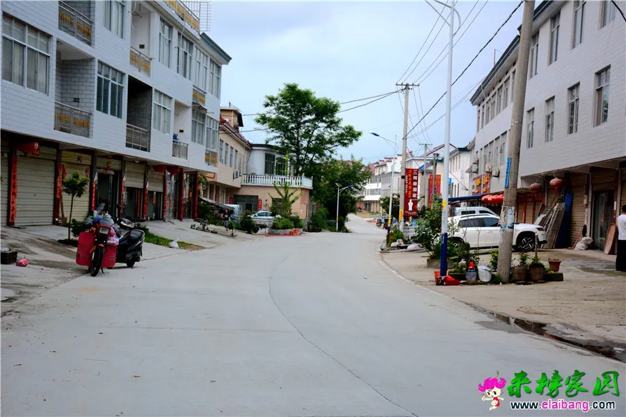 DSC_4194.webp