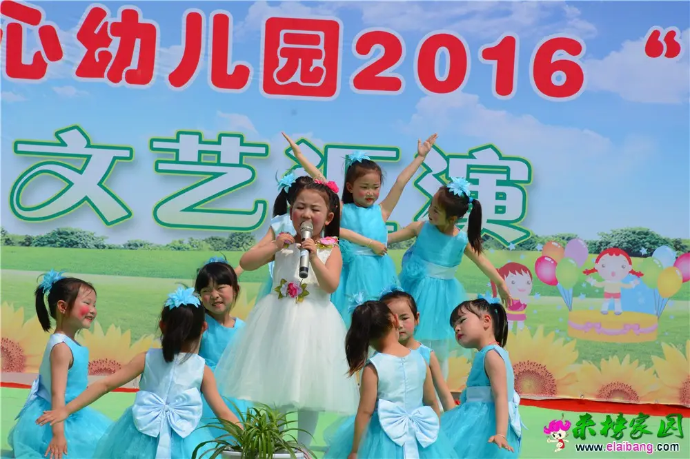 DSC_4317.webp