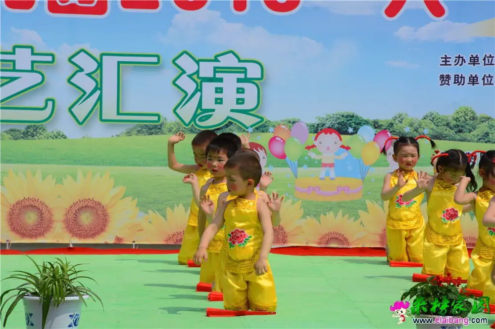DSC_4329.webp