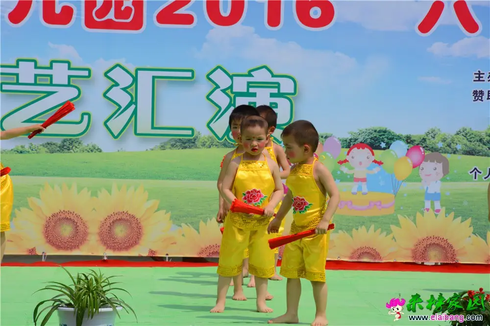 DSC_4335.webp