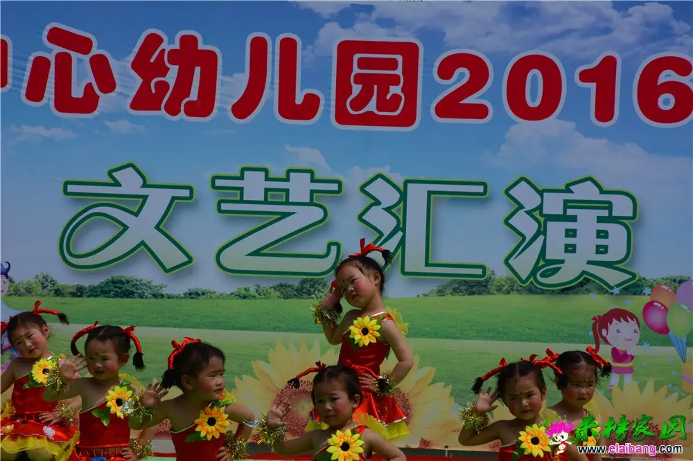 DSC_4375.webp