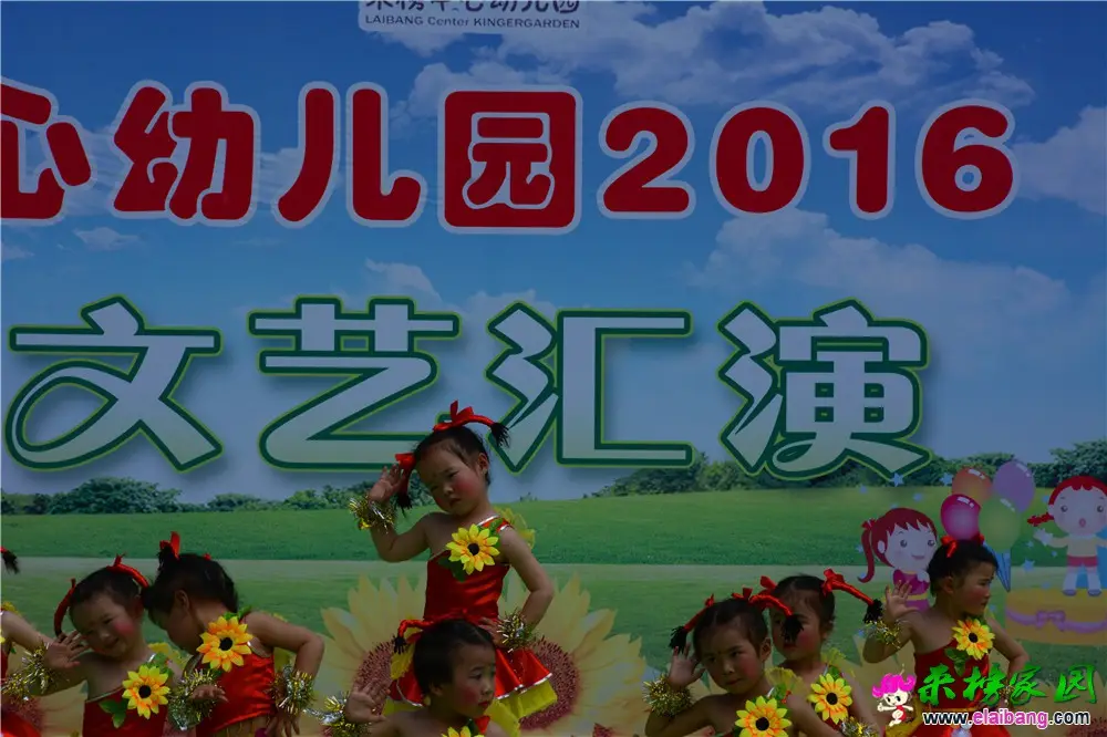 DSC_4379.webp