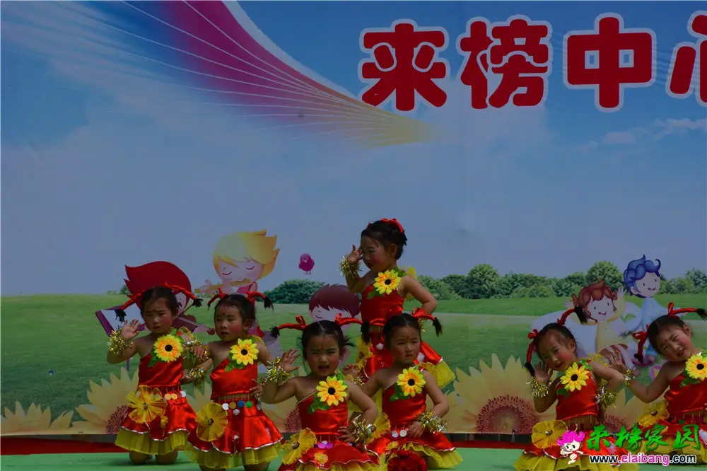 DSC_4381.webp