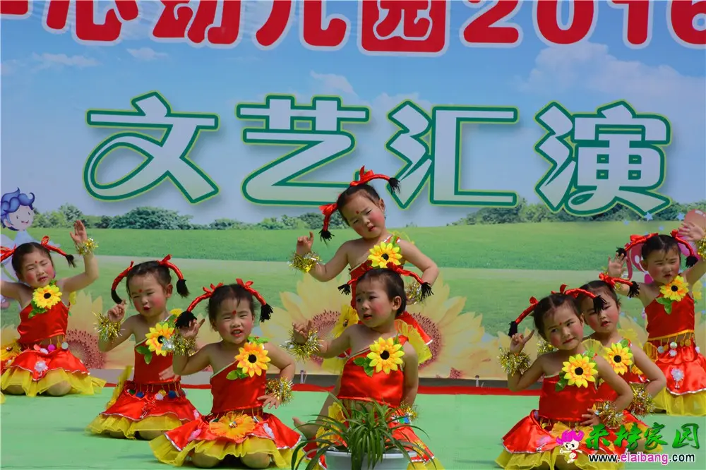 DSC_4385.webp