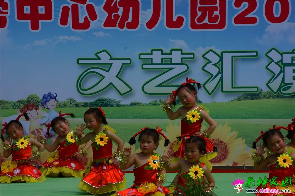 DSC_4382.webp