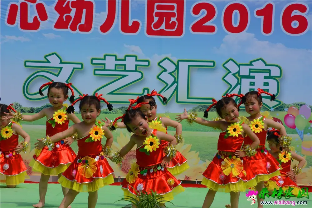 DSC_4389.webp