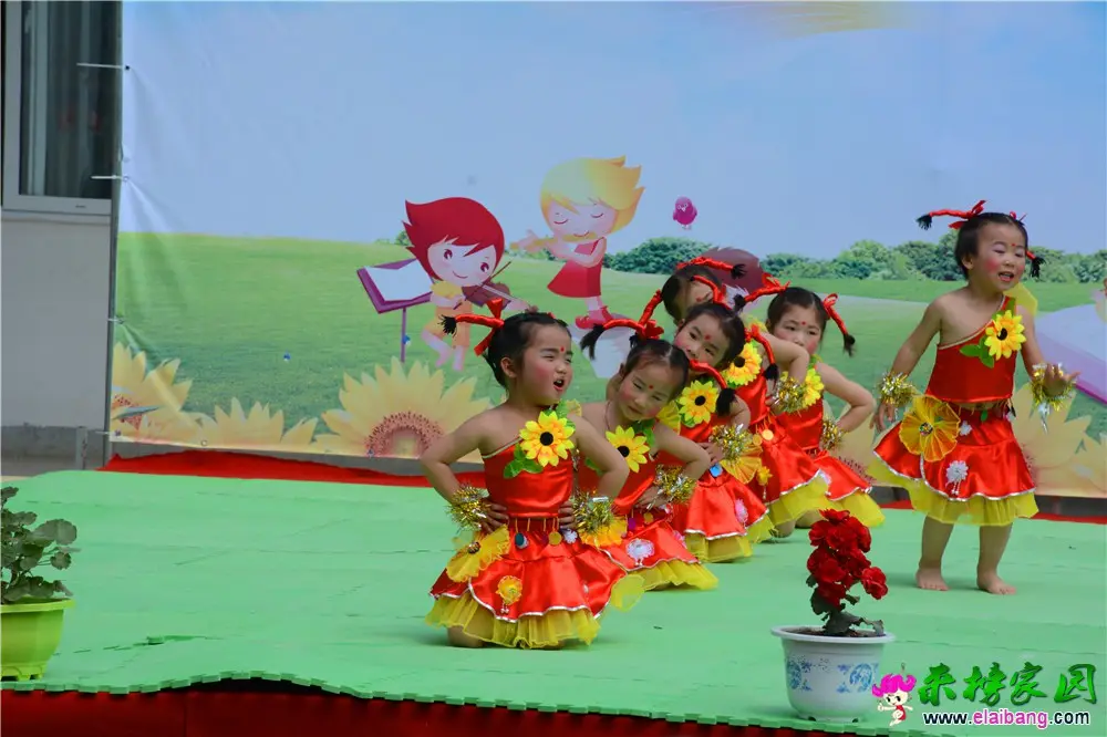 DSC_4391.webp