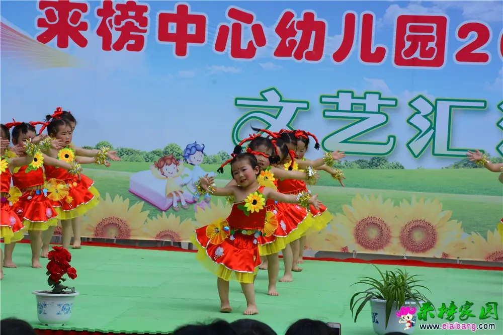 DSC_4410.webp