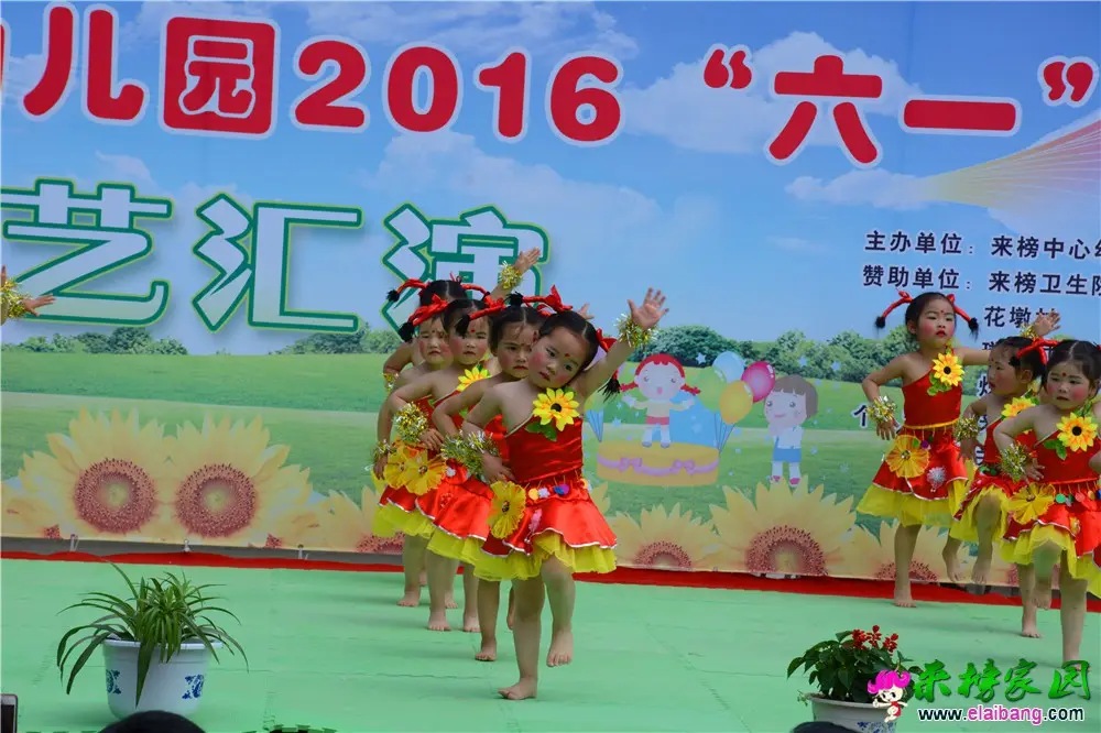 DSC_4409.webp