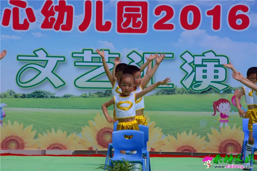 DSC_4473.webp