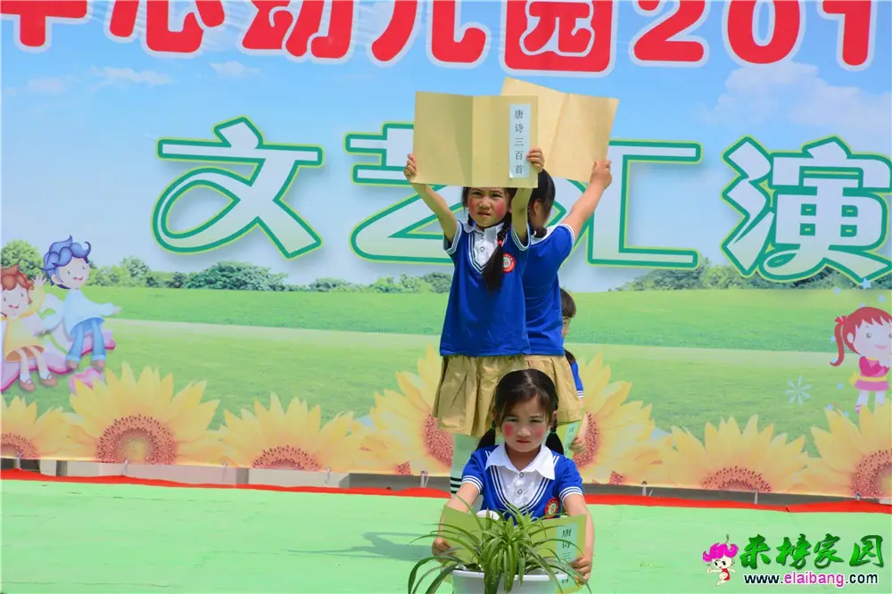 DSC_4554.webp