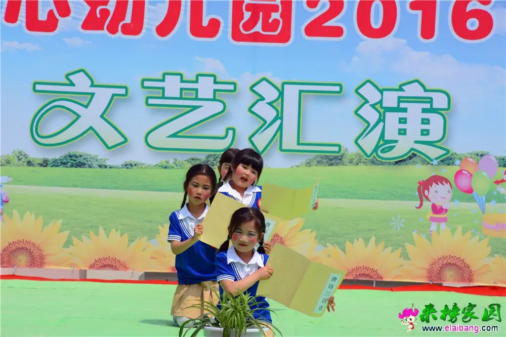 DSC_4558.webp
