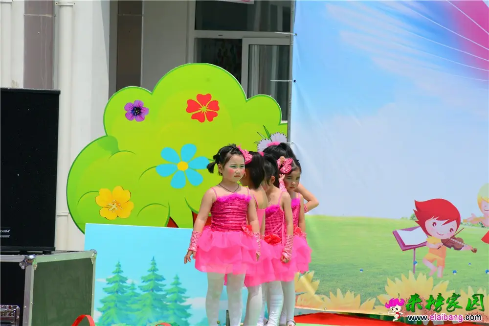 DSC_4600.webp